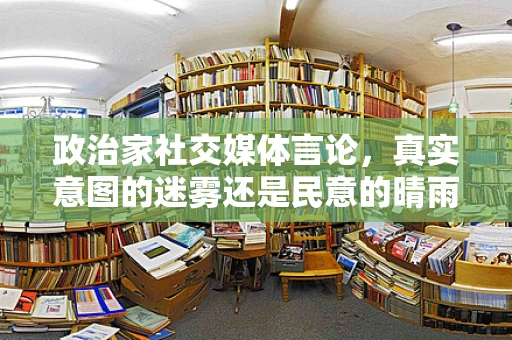 政治家社交媒体言论，真实意图的迷雾还是民意的晴雨表？