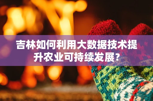 吉林如何利用大数据技术提升农业可持续发展？