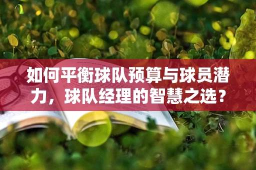 如何平衡球队预算与球员潜力，球队经理的智慧之选？