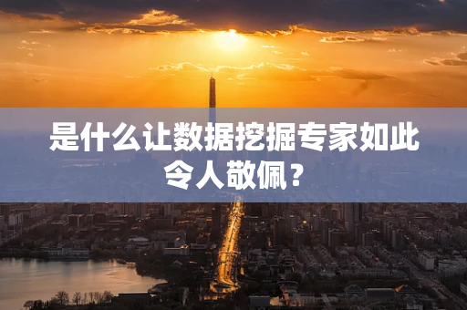 是什么让数据挖掘专家如此令人敬佩？
