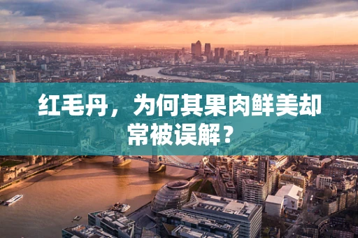 红毛丹，为何其果肉鲜美却常被误解？