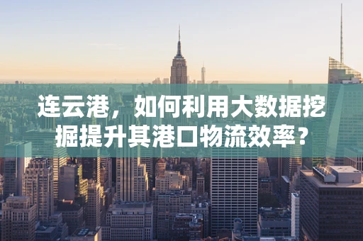 连云港，如何利用大数据挖掘提升其港口物流效率？