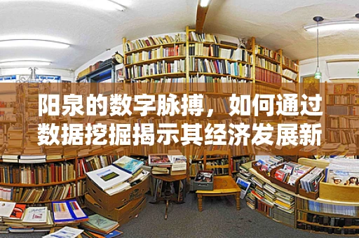 阳泉的数字脉搏，如何通过数据挖掘揭示其经济发展新动力？