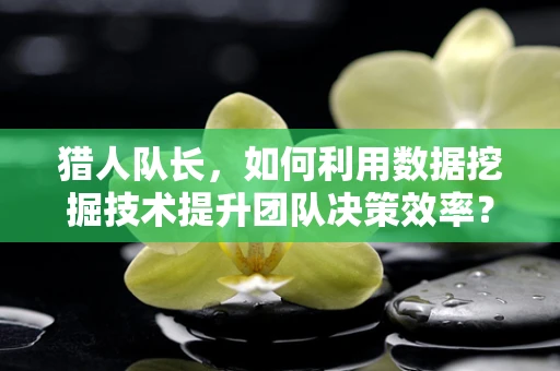 猎人队长，如何利用数据挖掘技术提升团队决策效率？