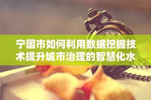 宁国市如何利用数据挖掘技术提升城市治理的智慧化水平？