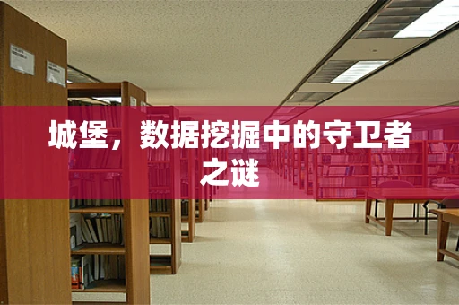 城堡，数据挖掘中的守卫者之谜