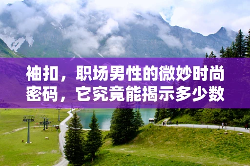 袖扣，职场男性的微妙时尚密码，它究竟能揭示多少数据秘密？