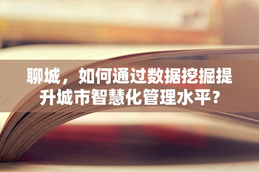 聊城，如何通过数据挖掘提升城市智慧化管理水平？