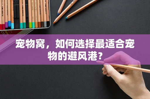 宠物窝，如何选择最适合宠物的避风港？