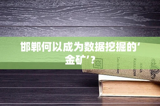 邯郸何以成为数据挖掘的‘金矿’？