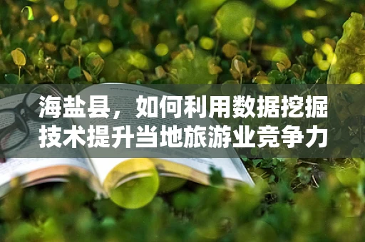 海盐县，如何利用数据挖掘技术提升当地旅游业竞争力？