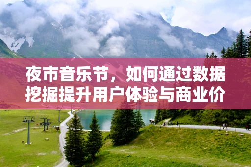 夜市音乐节，如何通过数据挖掘提升用户体验与商业价值？