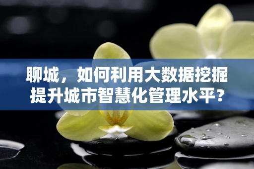 聊城，如何利用大数据挖掘提升城市智慧化管理水平？
