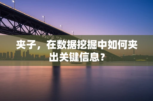 夹子，在数据挖掘中如何夹出关键信息？