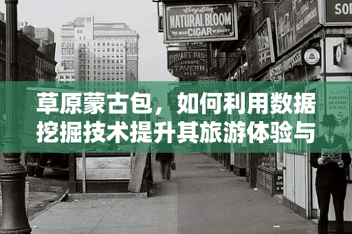 草原蒙古包，如何利用数据挖掘技术提升其旅游体验与文化价值？