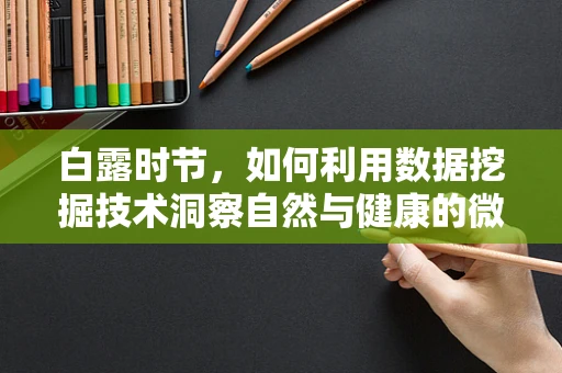 白露时节，如何利用数据挖掘技术洞察自然与健康的微妙联系？