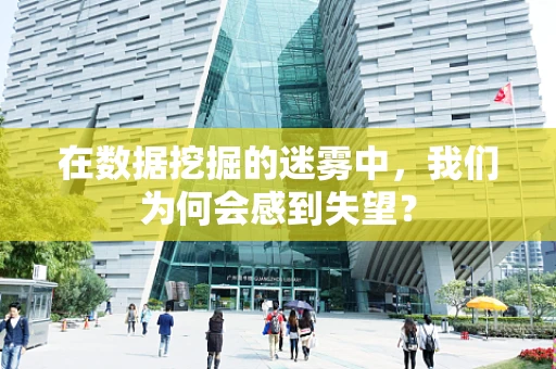 在数据挖掘的迷雾中，我们为何会感到失望？