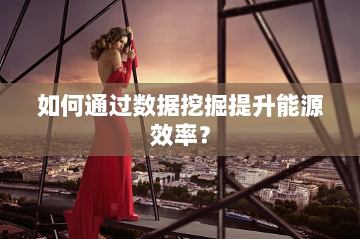 如何通过数据挖掘提升能源效率？