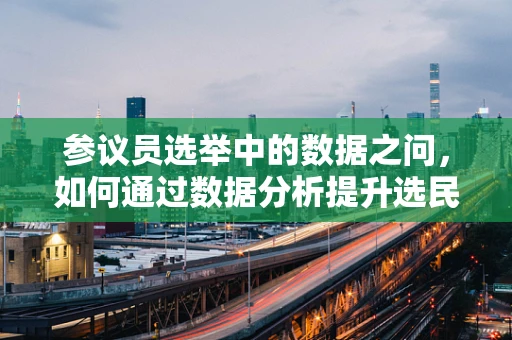 参议员选举中的数据之问，如何通过数据分析提升选民参与度？