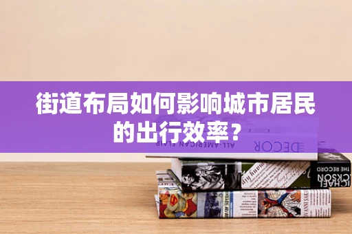 街道布局如何影响城市居民的出行效率？