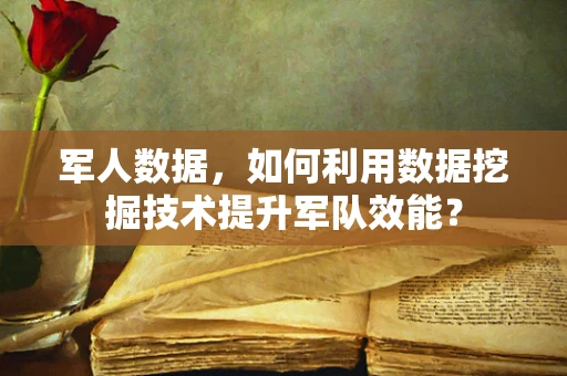 军人数据，如何利用数据挖掘技术提升军队效能？