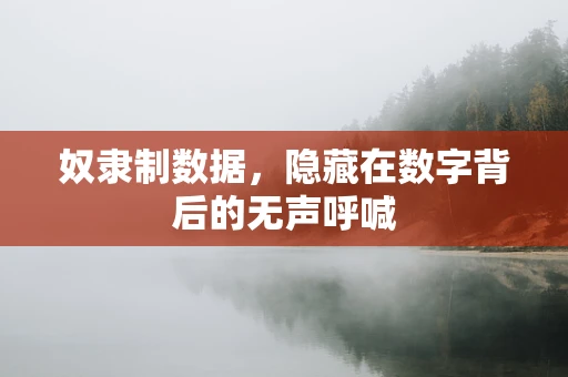 奴隶制数据，隐藏在数字背后的无声呼喊