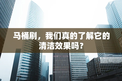 马桶刷，我们真的了解它的清洁效果吗？