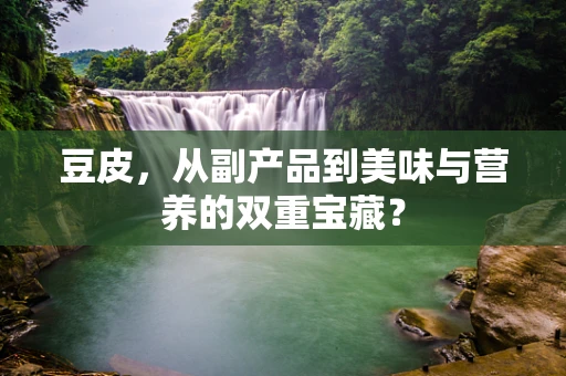 豆皮，从副产品到美味与营养的双重宝藏？