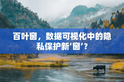 百叶窗，数据可视化中的隐私保护新‘窗’？