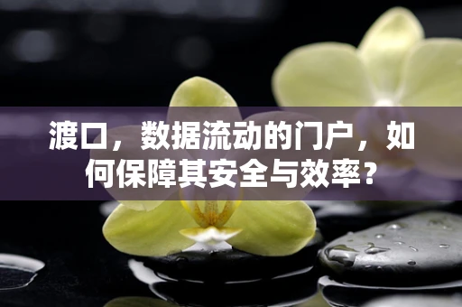 渡口，数据流动的门户，如何保障其安全与效率？