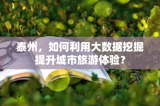 泰州，如何利用大数据挖掘提升城市旅游体验？