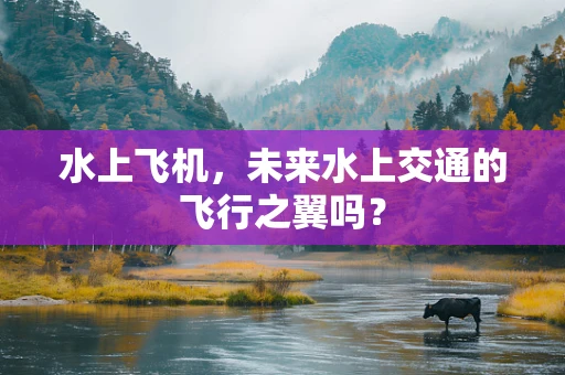 水上飞机，未来水上交通的飞行之翼吗？