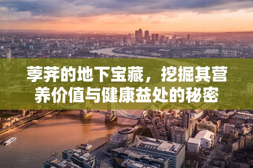 荸荠的地下宝藏，挖掘其营养价值与健康益处的秘密