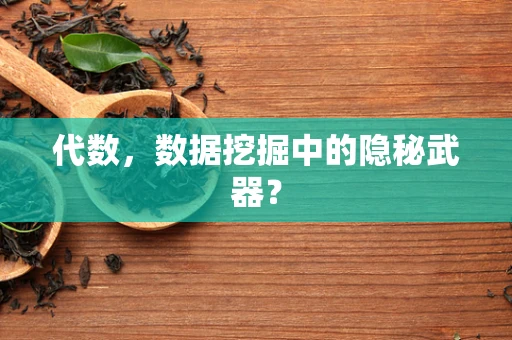 代数，数据挖掘中的隐秘武器？