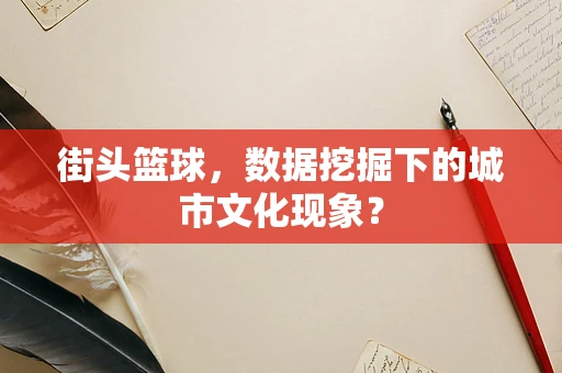 街头篮球，数据挖掘下的城市文化现象？