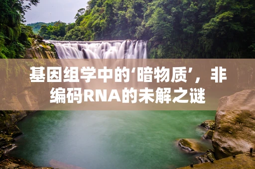 基因组学中的‘暗物质’，非编码RNA的未解之谜