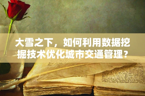 大雪之下，如何利用数据挖掘技术优化城市交通管理？