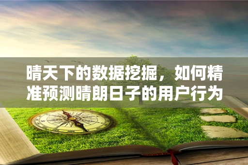 晴天下的数据挖掘，如何精准预测晴朗日子的用户行为？