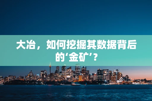大冶，如何挖掘其数据背后的‘金矿’？