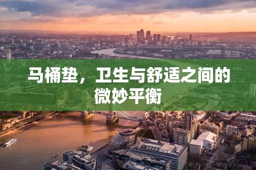 马桶垫，卫生与舒适之间的微妙平衡