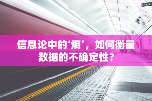 信息论中的‘熵’，如何衡量数据的不确定性？