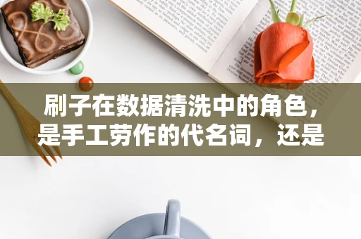 刷子在数据清洗中的角色，是手工劳作的代名词，还是数据挖掘的得力助手？