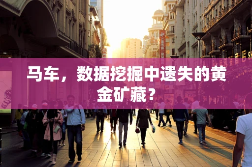 马车，数据挖掘中遗失的黄金矿藏？