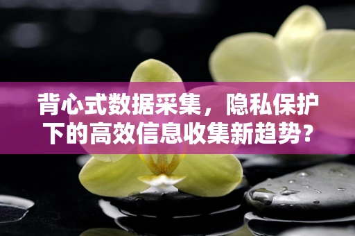 背心式数据采集，隐私保护下的高效信息收集新趋势？