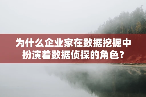 为什么企业家在数据挖掘中扮演着数据侦探的角色？