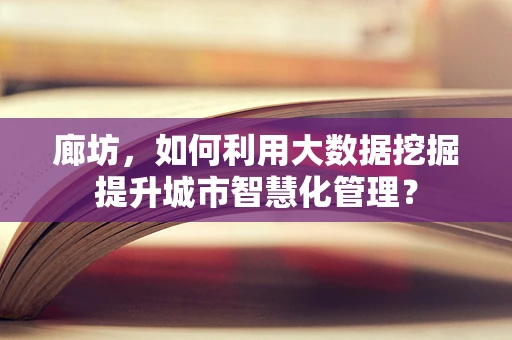 廊坊，如何利用大数据挖掘提升城市智慧化管理？