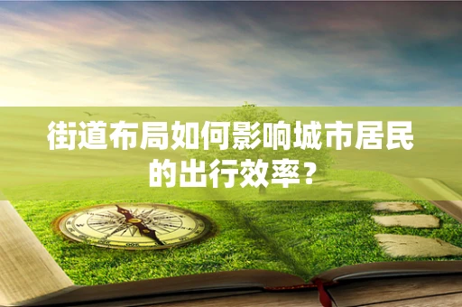 街道布局如何影响城市居民的出行效率？