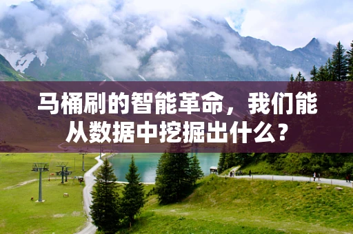 马桶刷的智能革命，我们能从数据中挖掘出什么？