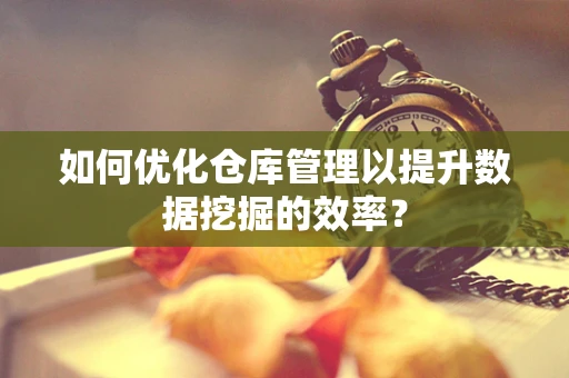 如何优化仓库管理以提升数据挖掘的效率？