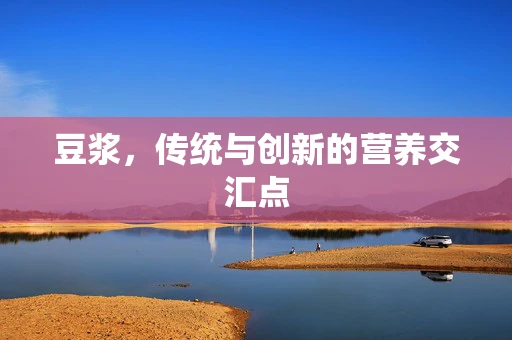 豆浆，传统与创新的营养交汇点